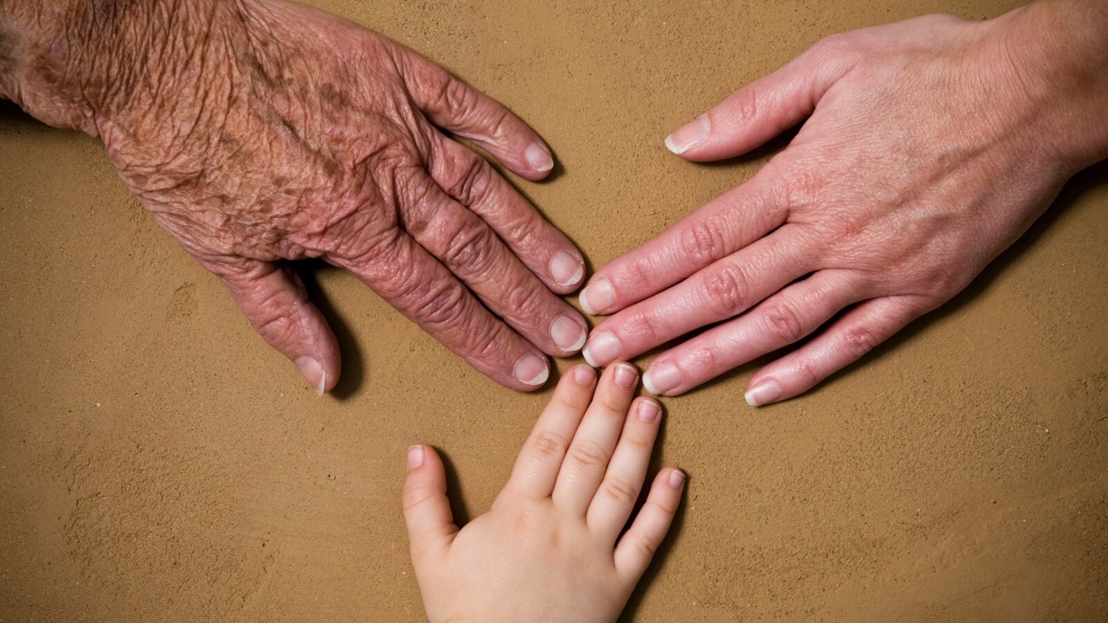 hands of family showing generations