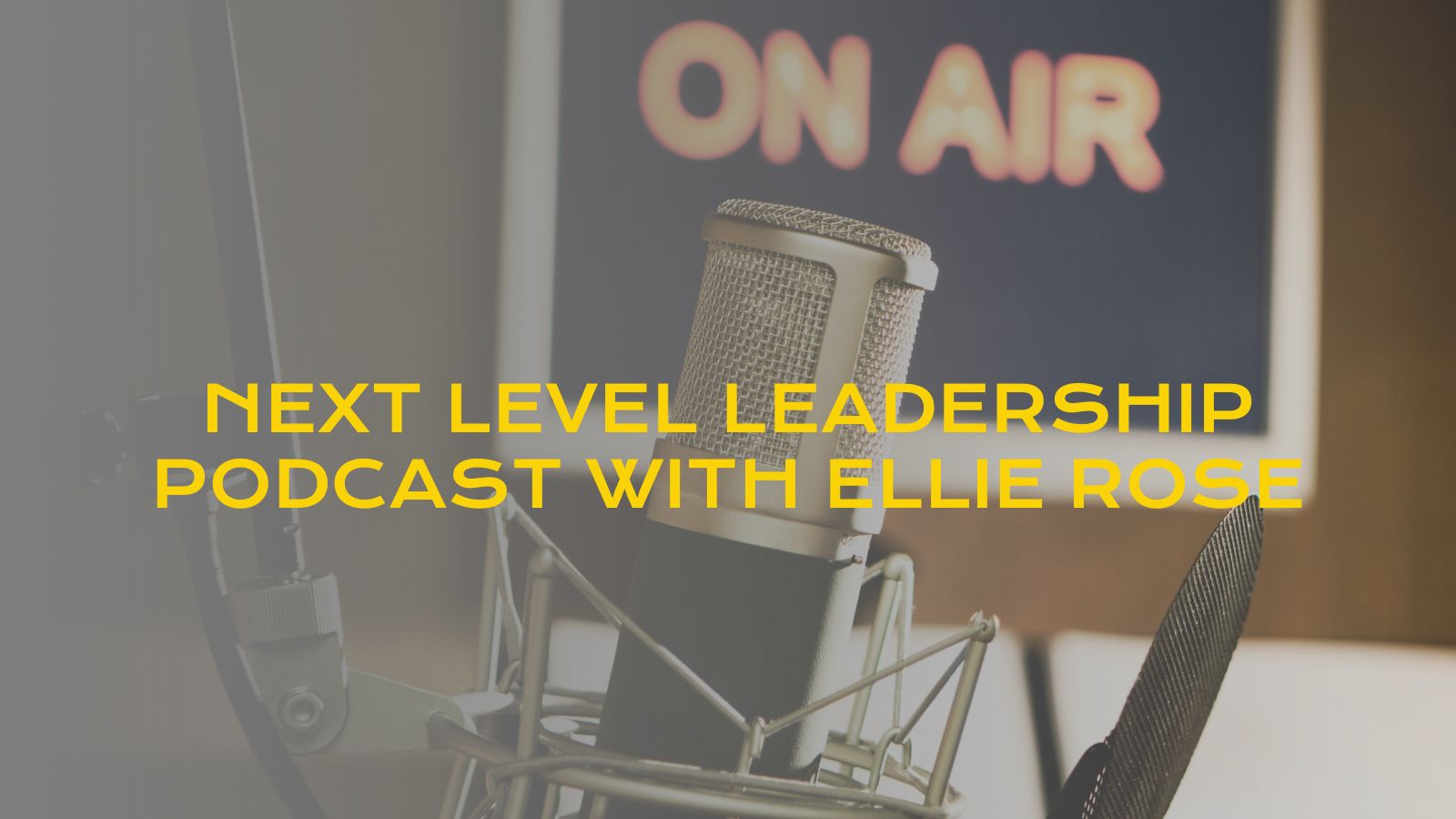 Ellie is invited on the Next Level Leadership Podcast